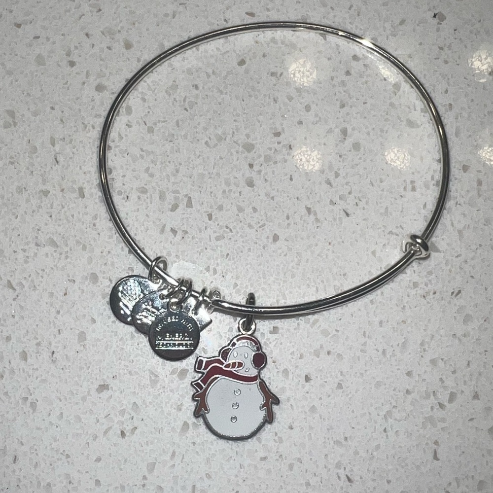Alex and Ani Silver Bracelet
